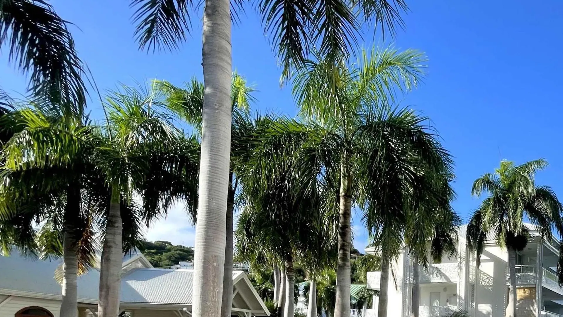 Apartment Studio Face Plage Avec Terrasse, Climatisation Et Parking - Fr-1-734-33 Grand Case